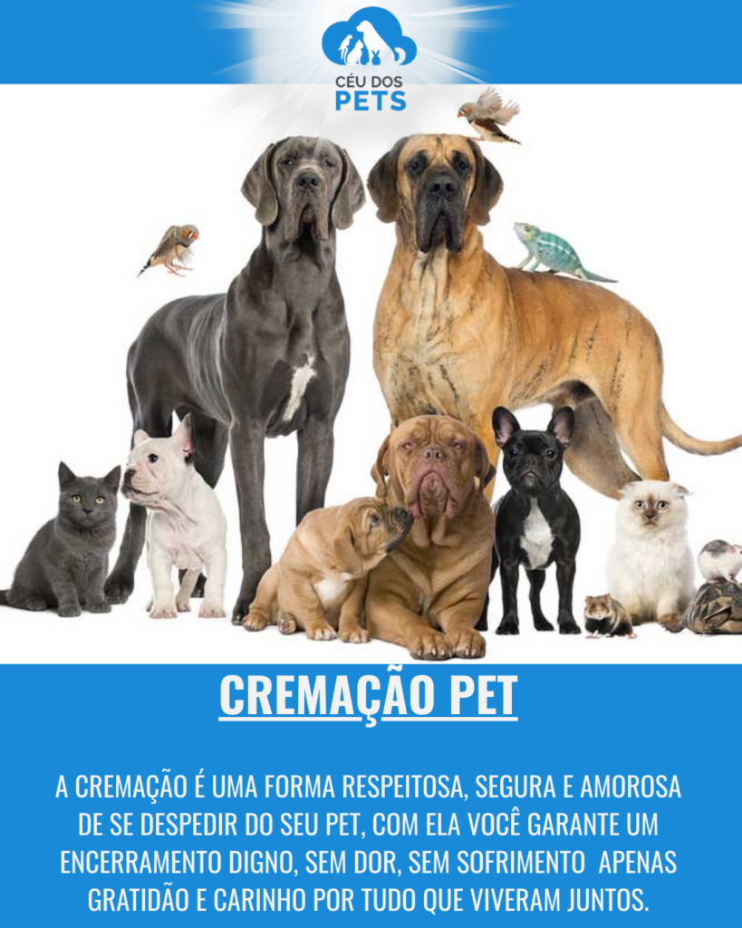 Cópia de Texto do seu parágrafo (1)